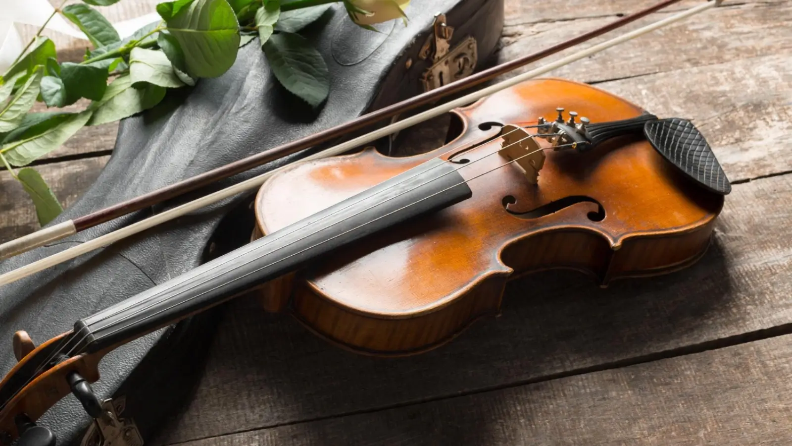 Close-up of a modern BAM violin case with backpack straps and padded interior