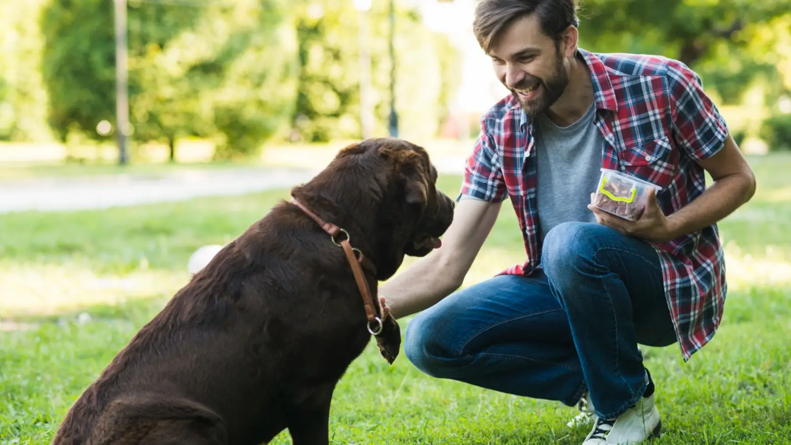 Building a Culture of Caution and Awareness Community members and pet owners promoting dog safety and awareness in South Jordan