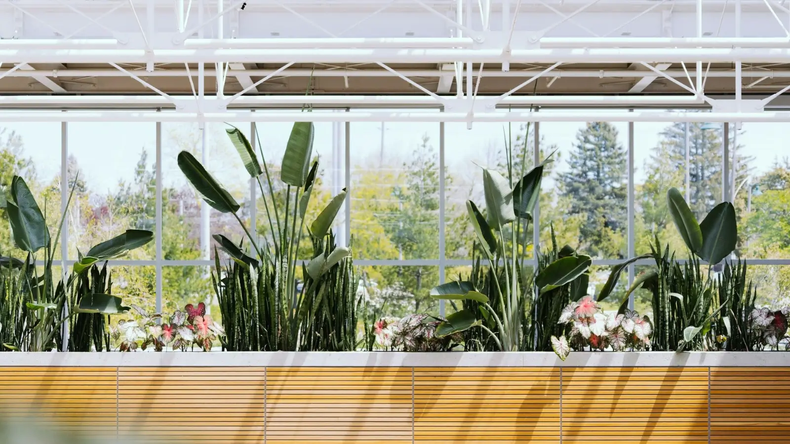 Modern commercial planters displayed in outdoor architectural space