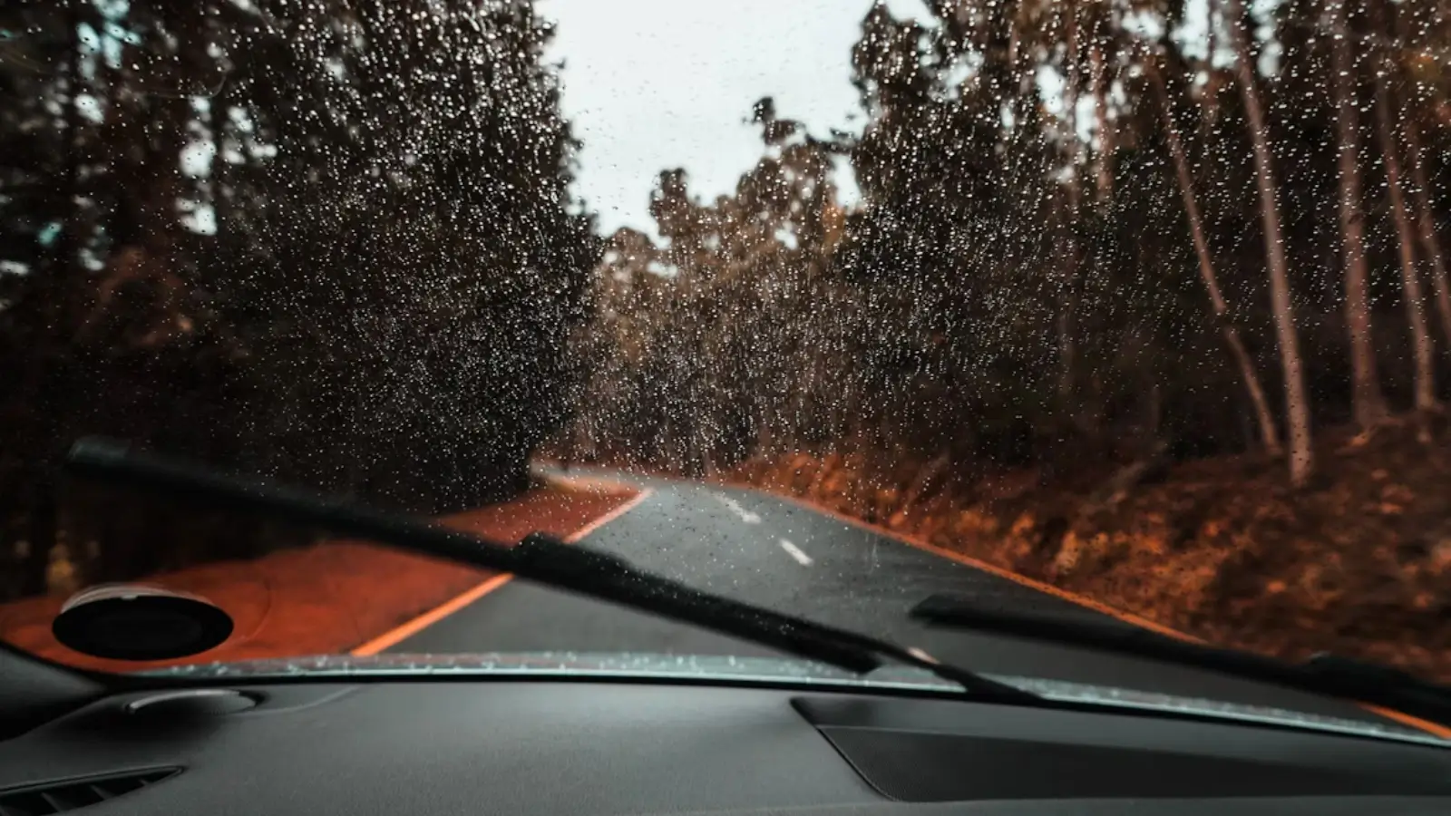 Worried About Windshield Repair Quality? Red Flags to Watch Technician inspecting windshield repair for proper sealing and fit