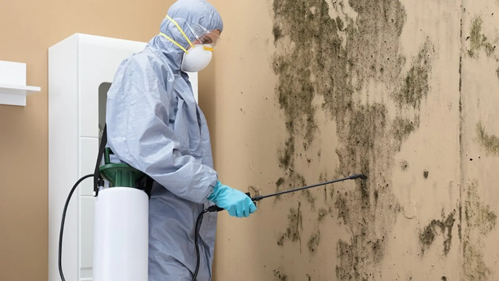 Technician performing mold remediation with protective gear in a residential home