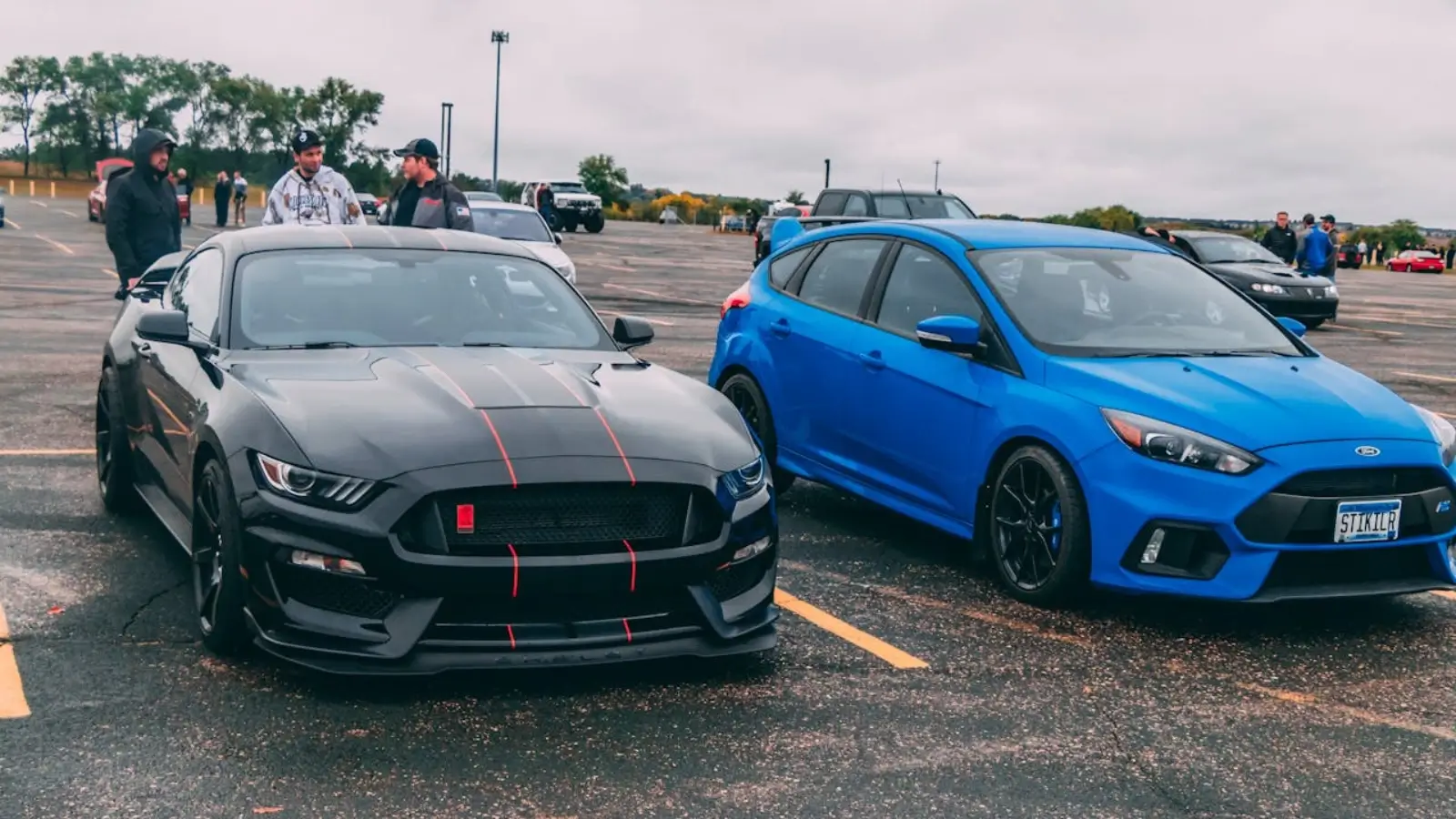 Eco-friendly Ford vehicles lineup at Stony Plain Ford dealership in Alberta