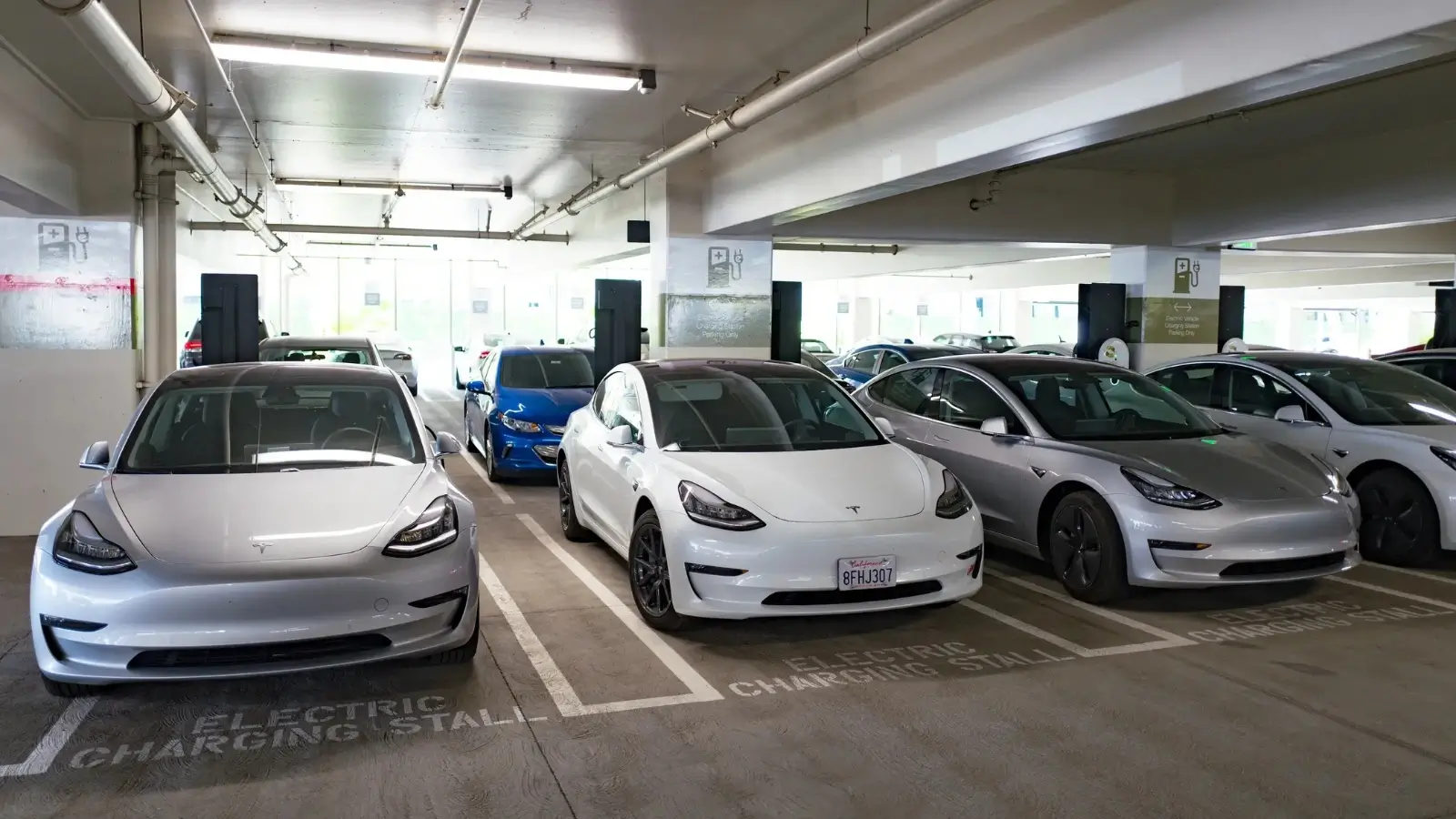 Electric vehicles parked at a dealership with declining sales after subsidy cuts