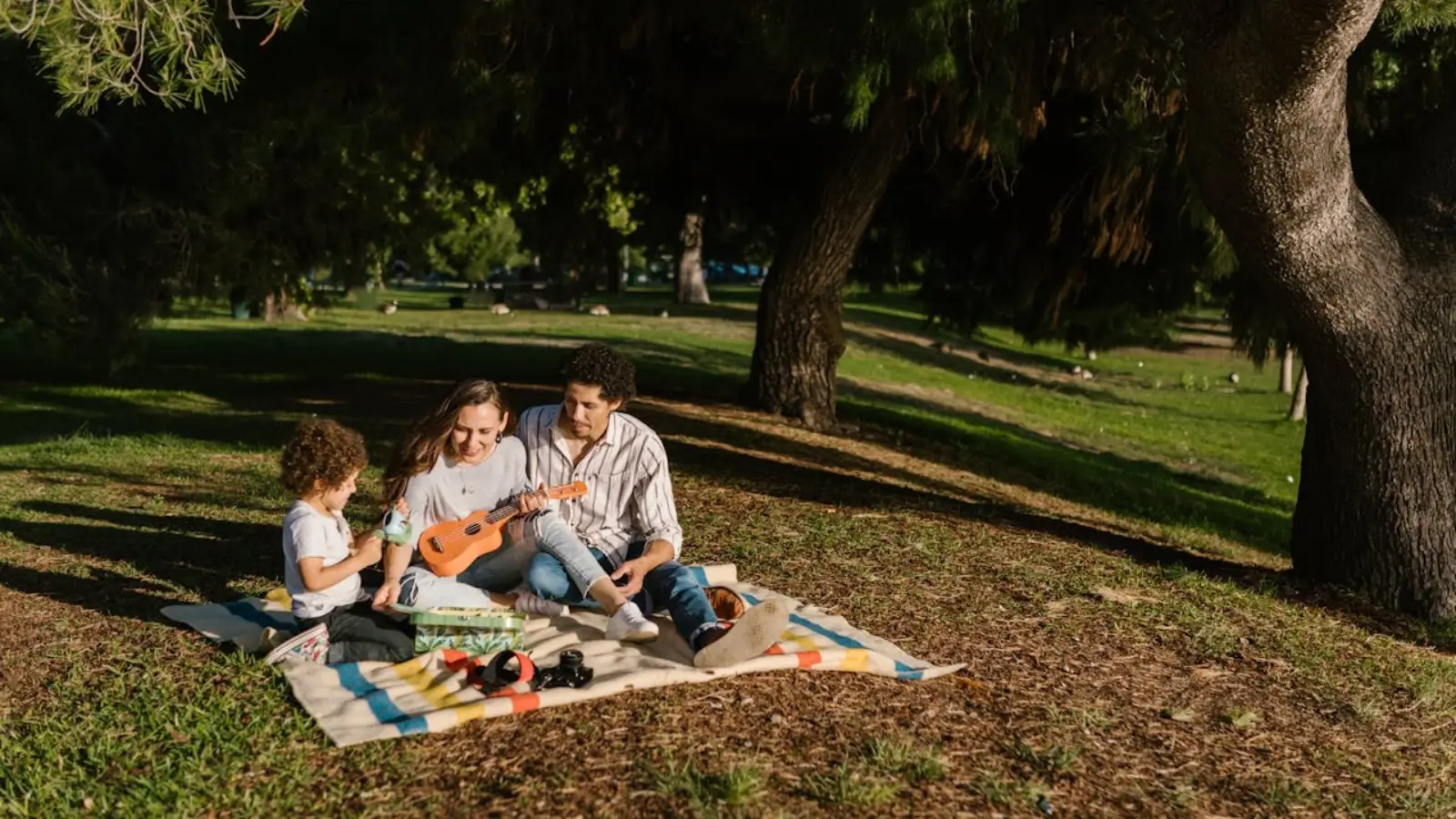 Family enjoying a picnic on a large, colorful picnic blanket in a sunny park
