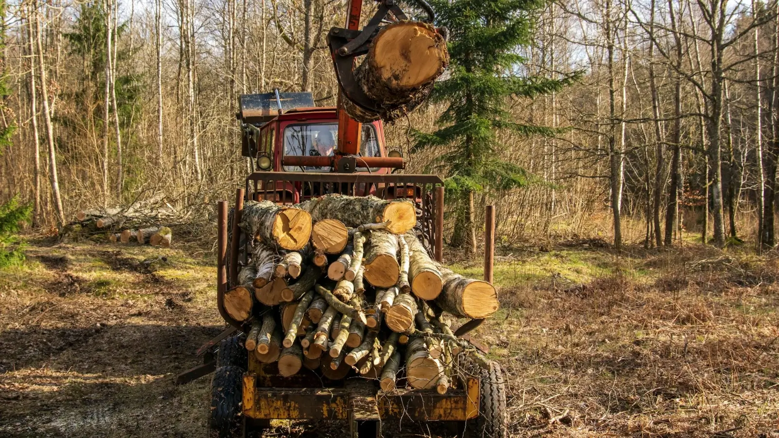 Forestry mulcher clearing Australian bushland with mulch on ground