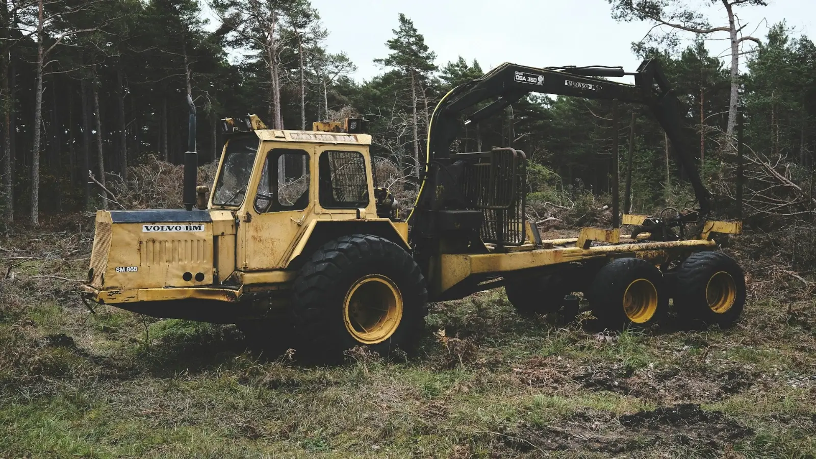 Forestry mulching machine clearing dense Texas brush on a rural property