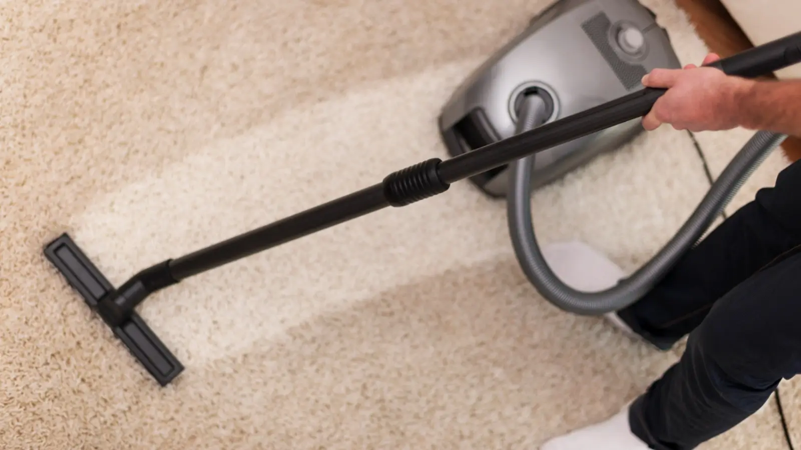 Professional carpet cleaner using high-powered equipment to deep clean residential carpet
