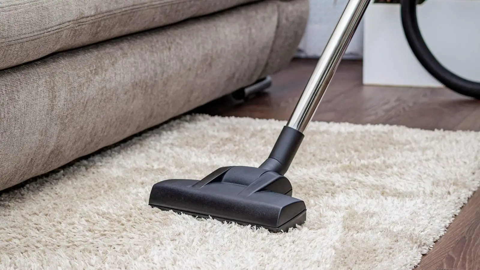 Professional carpet cleaner using steam cleaning equipment in a living room