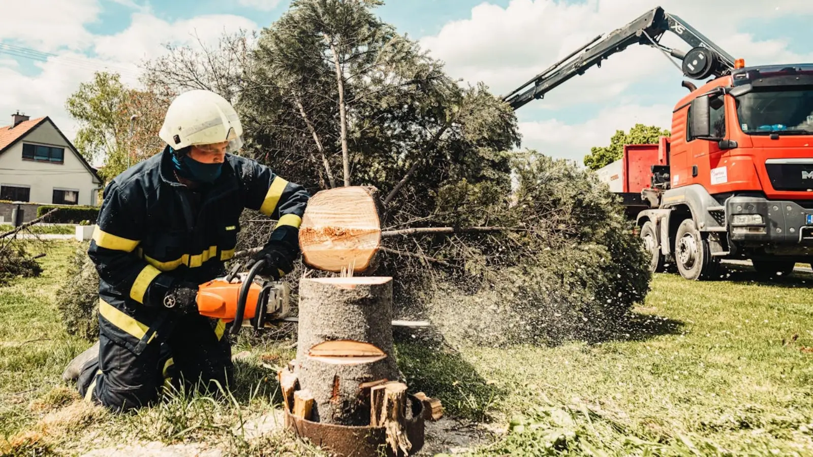 Professional stump grinder removing a tree stump in a residential backyard