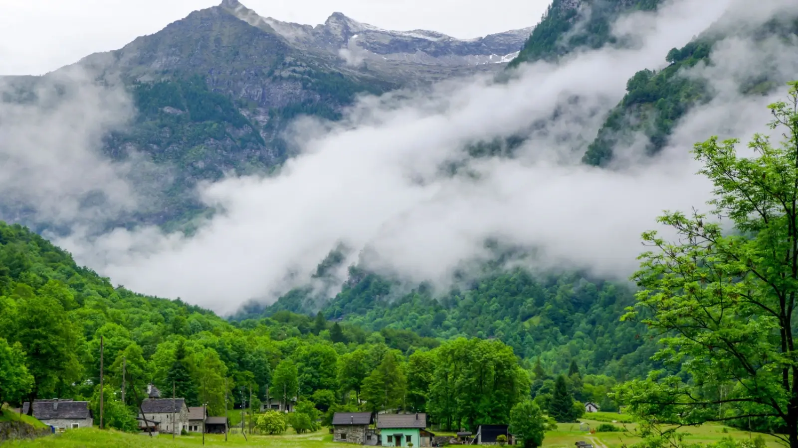 Scenic view of Kakkadampoyil hill village with waterfalls and misty forests in Kerala