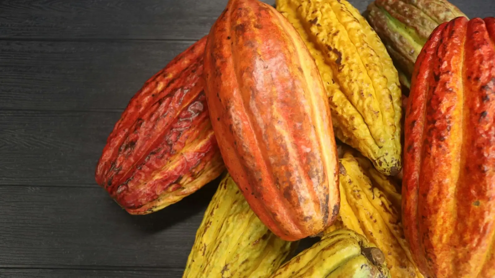 Technology transforming cocoa farming and processing for sustainable chocolate production