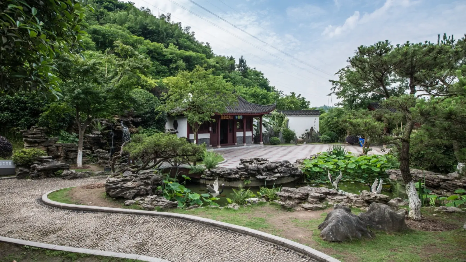 Tiered hillside garden with stone terraces and lush plantings on a sloped backyard
