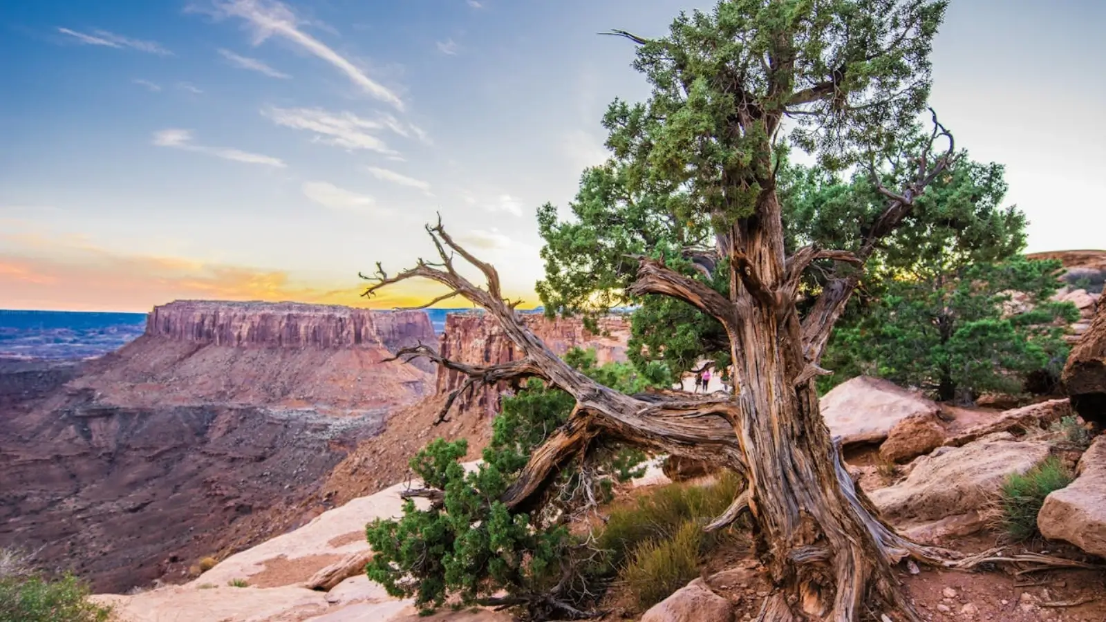 Top land-selling companies for rural property in Utah in 2025