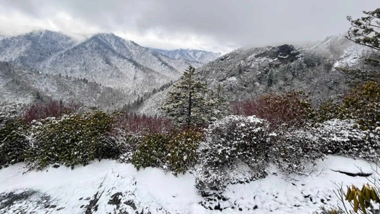Traveler exploring a misty road in the Smoky Mountains without a set itinerary