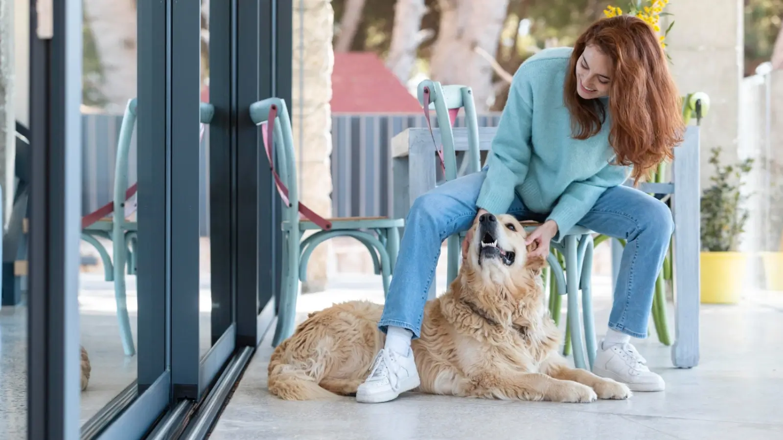 Choosing the Best Dog Day Care and Boarding in North Hollywood: What Every Pet Owner Should Know Happy dog at a day care facility in North Hollywood