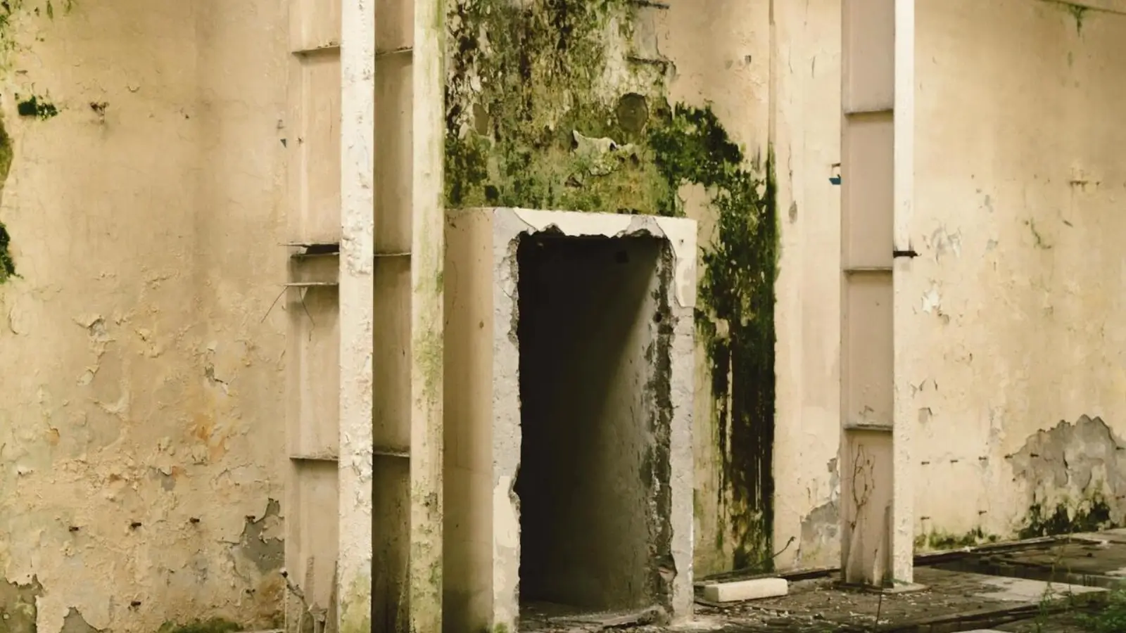 Asbestos and mold remediation in Massachusetts homes