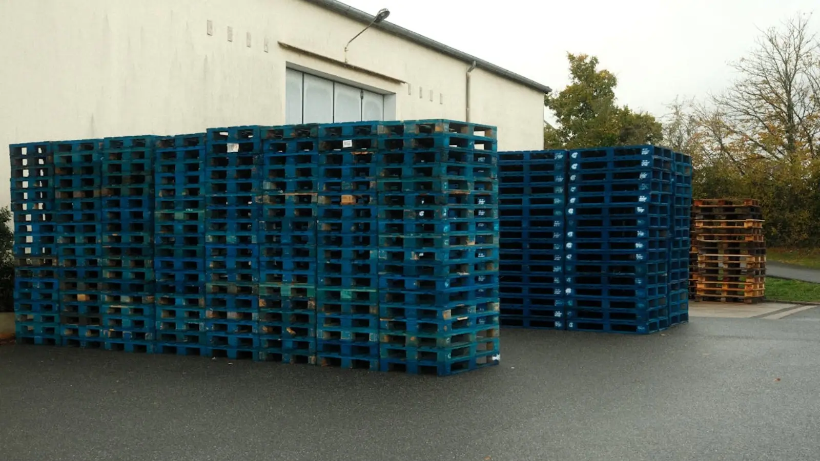 Organized business storage space with modular shelves and labeled containers