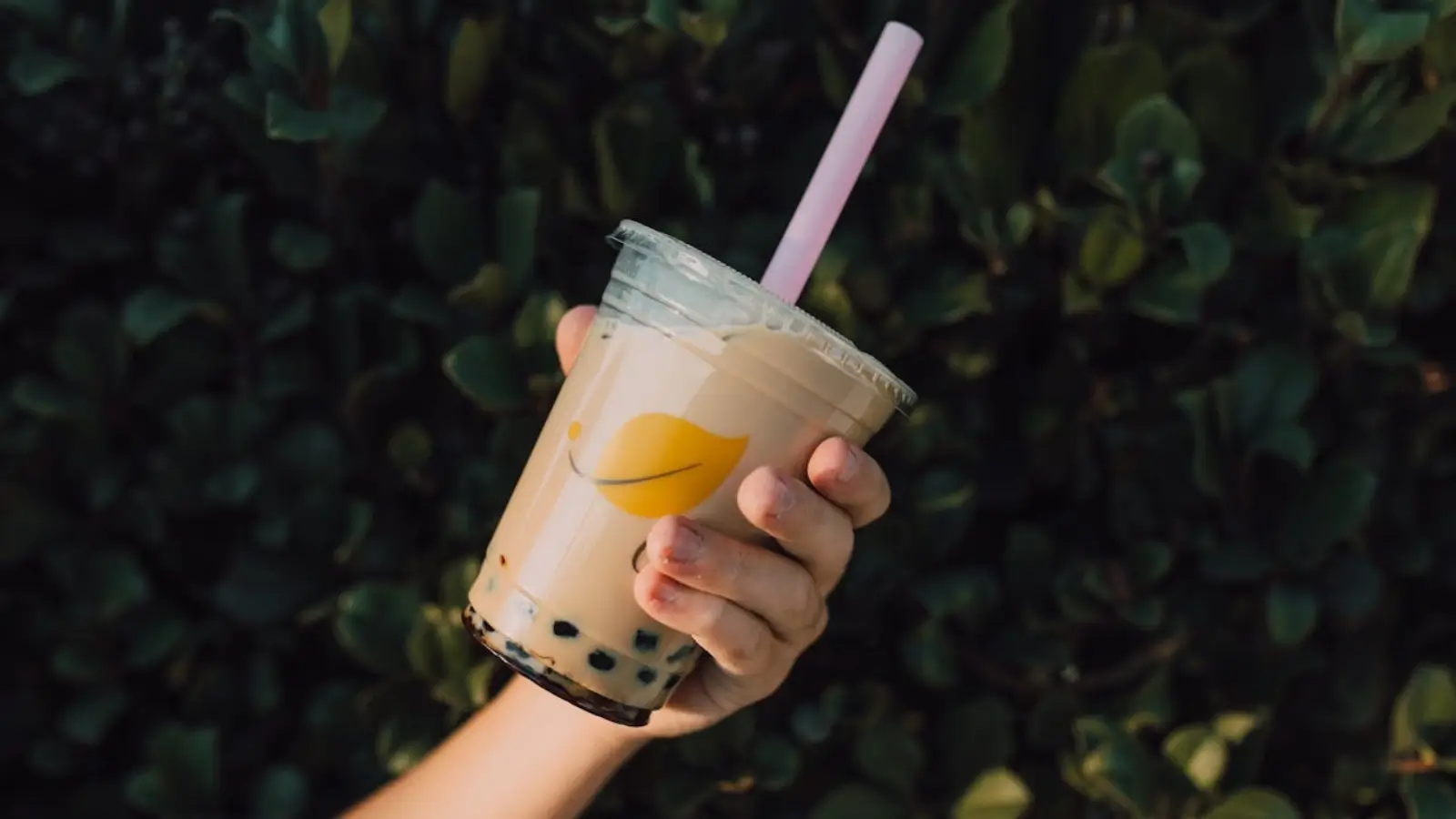 SHARETEA bubble tea franchise store setup and business opportunity in Queensland