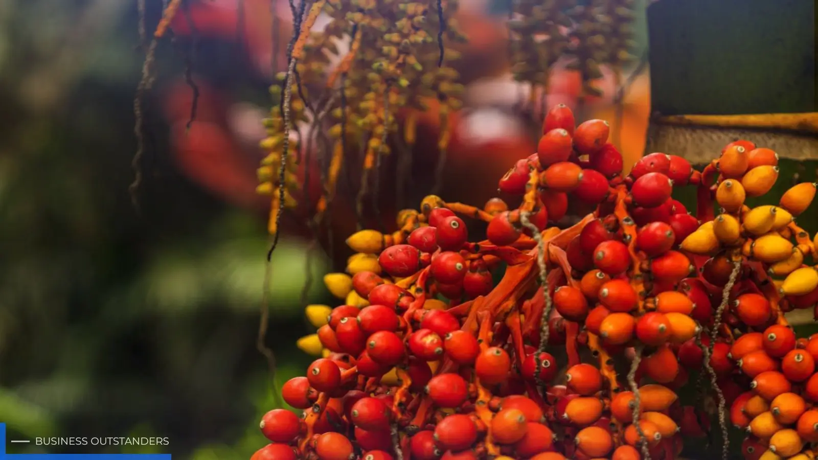 Palm oil mill processing fresh fruit bunches into crude palm oil and by-products using a circular business model